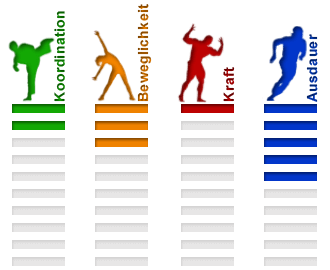 Sportart Badminton Eigenschaften