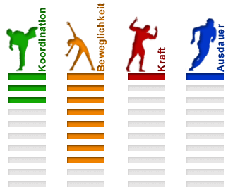 Sportart Gymnastik Eigenschaften