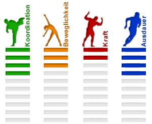 Inline Skating als Disziplin und Fitnessalternative