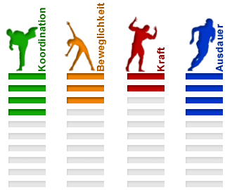 Sportart Inline-Skating Eigenschaften