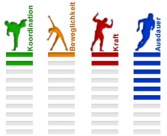 Sportart Tennis Eigenschaften