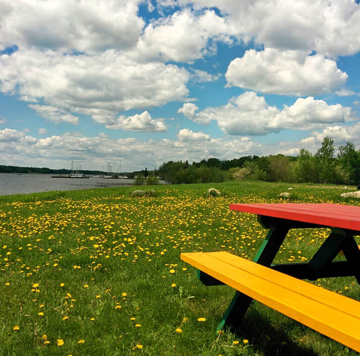 Picknick-Bank am Wasser