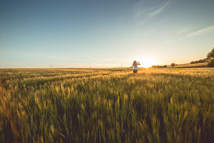 Feld im Sommer