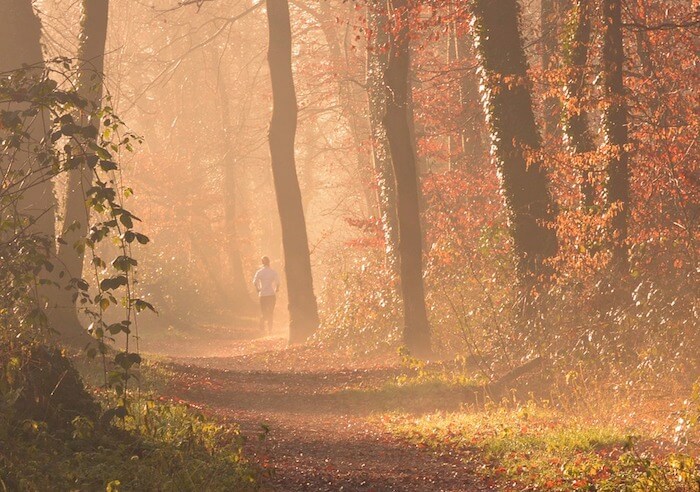 Joggen im herbstlichen Wald