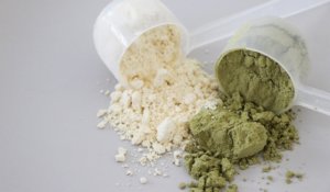 Protein-Drinks zum Training