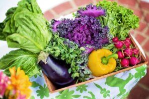 Wie die Ernährung unser Wohlbefinden steuert