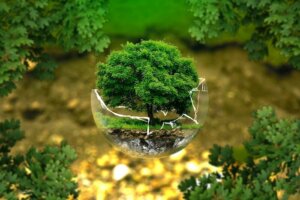 Wer sich gesund ernährt, schützt gleichzeitig die Umwelt