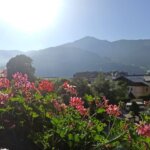 24 Std Pflege – eine verlässliche Lösung für Ihre Familie